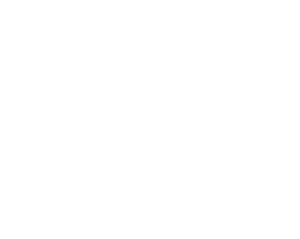 logo aedp branco